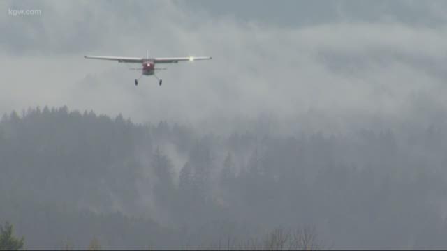 Turkeys flown into Cascade Locks community hit hard by Eagle Creek Fire