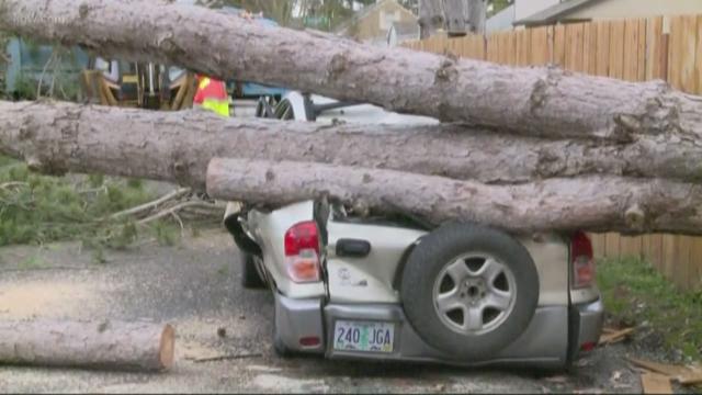 Winds down trees, power lines in Portland metro area | kgw.com